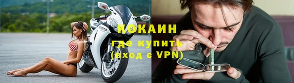мяу мяу мука Кулебаки