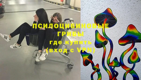 мяу мяу мука Кулебаки
