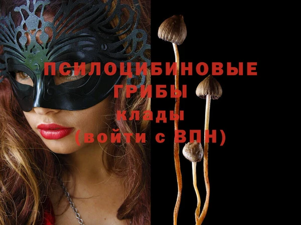 a pvp Киров