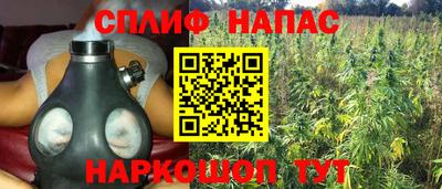 Альфа ПВП Азнакаево