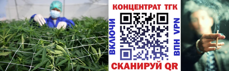 цены Апатиты Дистиллят ТГК концентрат