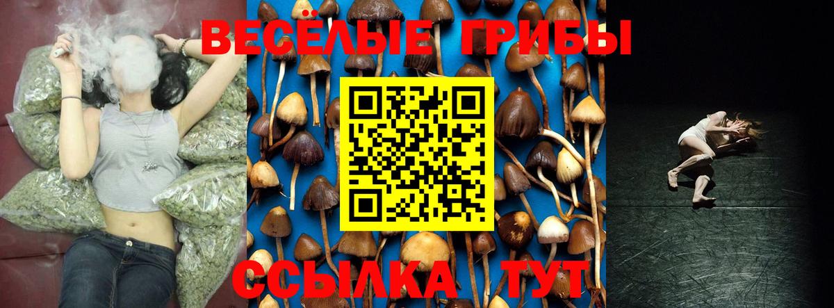 Галлюциногенные грибы Magic Shrooms Апатиты