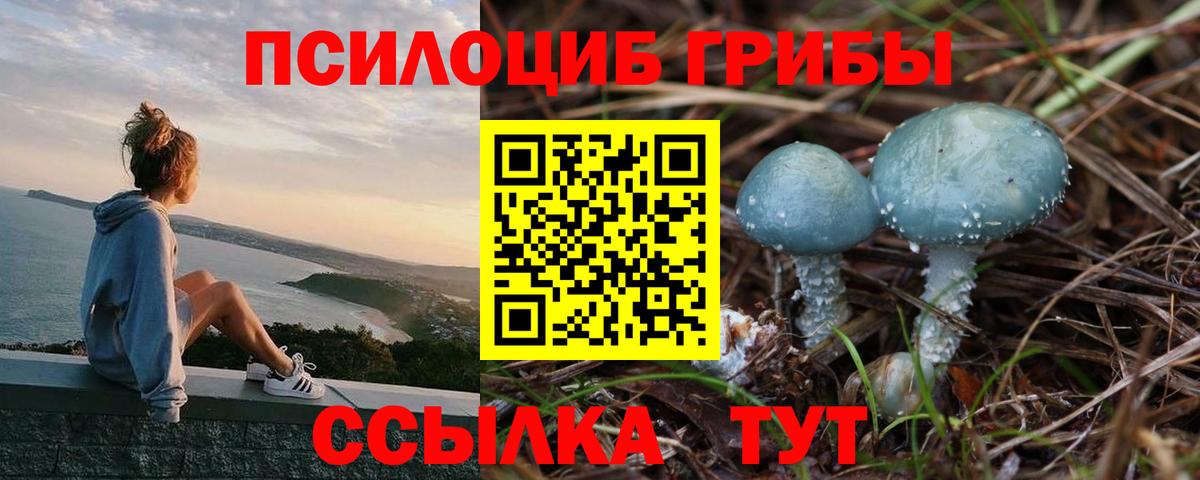 Галлюциногенные грибы MAGIC MUSHROOMS  Вход с VPN  Апатиты 