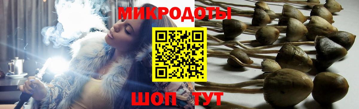 Псилоцибиновые грибы мухоморы Апатиты